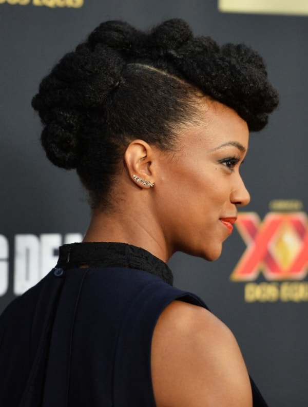 Afro Hair – 50 Inspirations de Coupes et Coiffures + Soin !