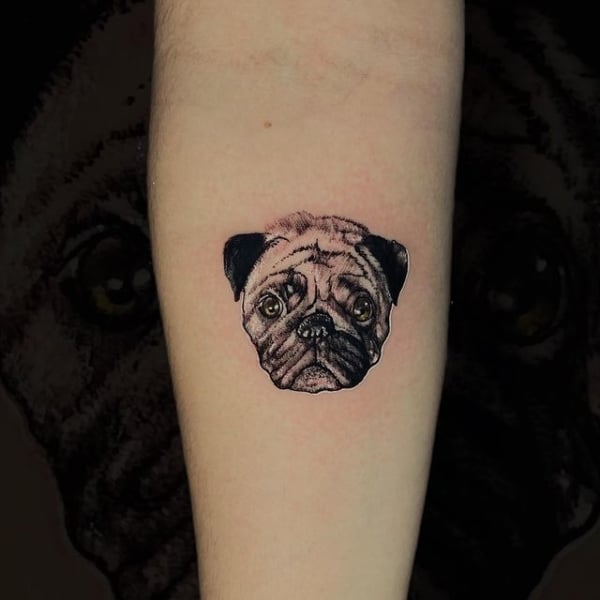 Pug Tattoo – 50 super cute ideas for lovers of the breed!