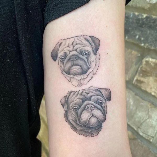 Pug Tattoo – 50 super cute ideas for lovers of the breed!