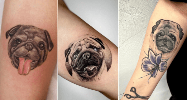 Pug Tattoo – 50 super cute ideas for lovers of the breed!