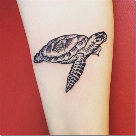 Tatuaje de tortuga: ¿qué significa? + 70 hermosos dibujos!