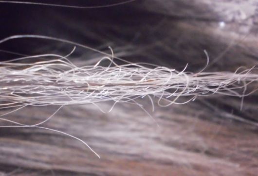 Cabello elástico: ¡5 soluciones para salvar los alambres engomados!