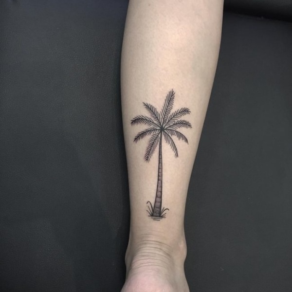 +45【TATUAJE DE ÁRBOL DE COCO】¡ideas para inspirarte!