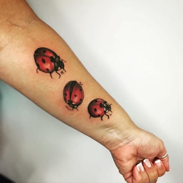 Tatuaggio Coccinella ➞ Cosa significa? + 30 bellissime idee!