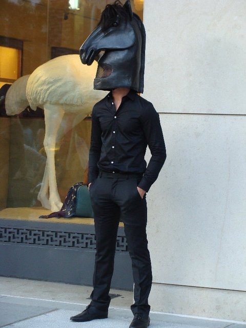 Horse head mask: 44 fun photos to inspire!