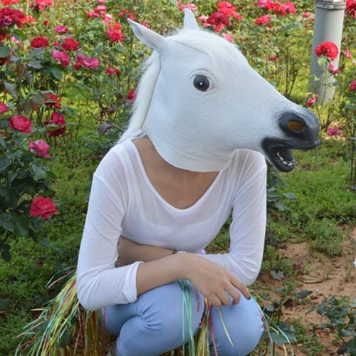 Horse head mask: 44 fun photos to inspire!