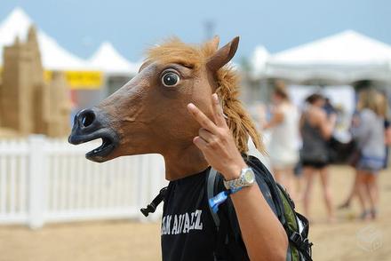 Máscara de cabeza de caballo: ¡44 fotos divertidas para inspirarte!