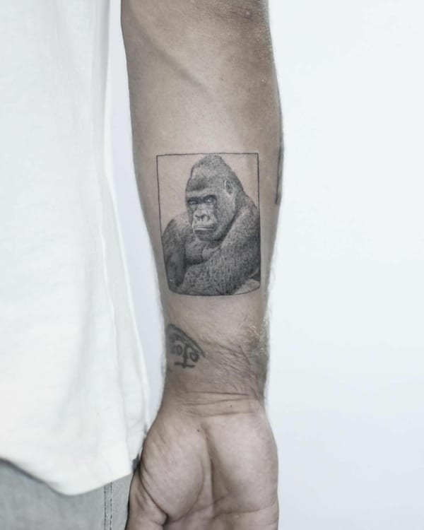 +30 INCREDIBILI tatuaggi di gorilla + Cosa significa il tatuaggio?