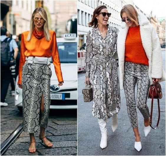 Animal Print 【2022】ᐅ +67 MAGNIFIQUES looks et comment les assembler !