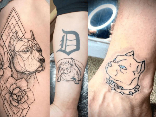 Tatouage Pitbull 【2022】» +40 idées d'ANIMAUX à choisir!