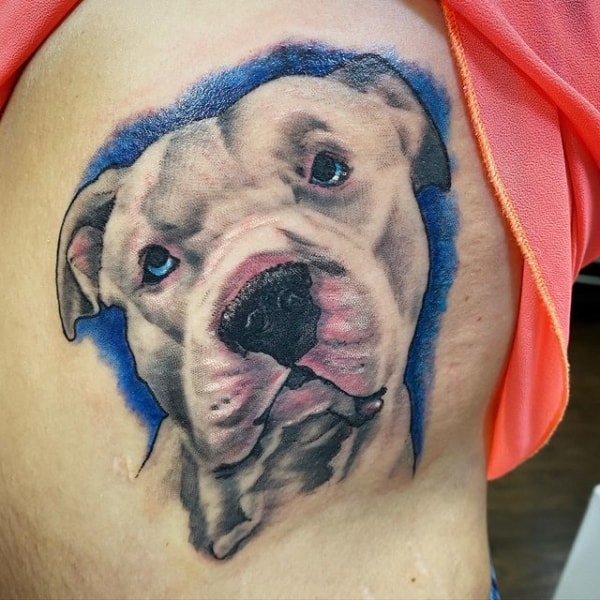 Tatouage Pitbull 【2022】» +40 idées d'ANIMAUX à choisir!