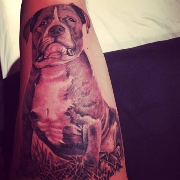 Pitbull Tattoo【2022】» ¡+40 ideas de ANIMALES para elegir!