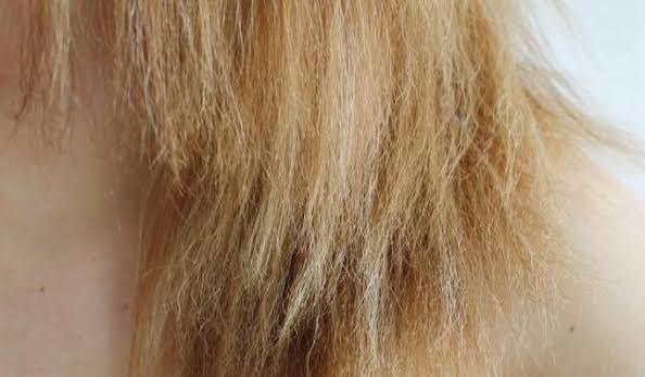 Porous Hair: What To Do? – Learn How to Recover Wires!