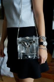 Transparent Bag: Beautiful Models, Tips on Where to Buy and How to Use