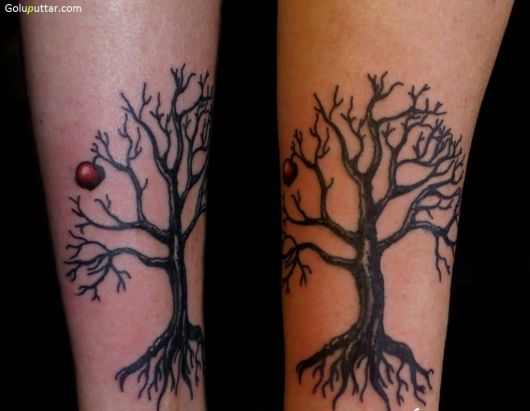 Tatuaje de árbol: ¡Significado, variaciones y 70 imágenes!