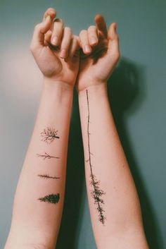 Tatuaggio dell'albero: significato, variazioni e 70 immagini!