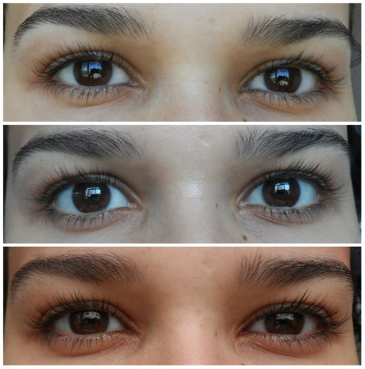 Castor Oil for Brows – 25 Results Before and After!
