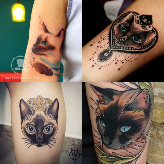 Cat Tattoo: significati, suggerimenti per gli artisti e oltre 100 ispirazioni!