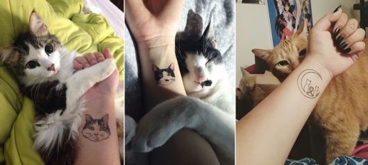 Cat Tattoo: significati, suggerimenti per gli artisti e oltre 100 ispirazioni!