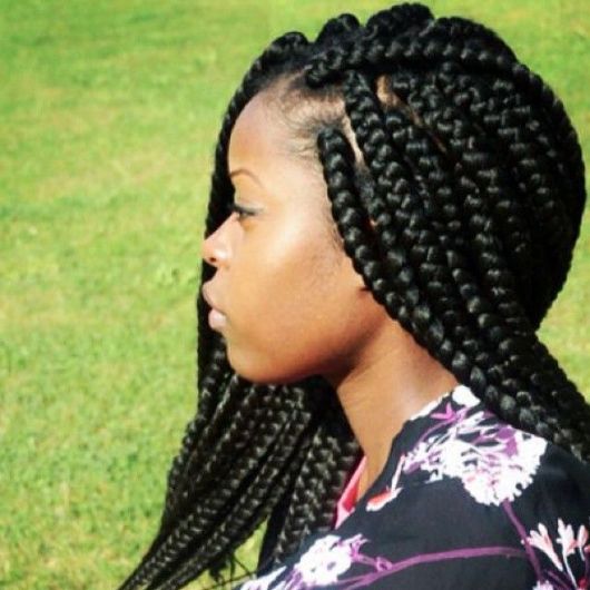 Box Braids - Doutes, soins principaux et 65 coiffures sensationnelles!