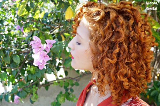Henna para el cabello: ¡23 inspiraciones, cómo usar y principales beneficios!