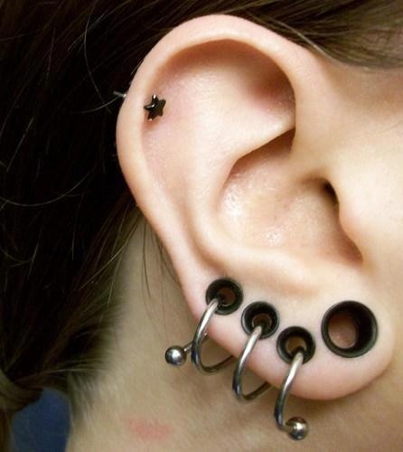 Ear Piercing: Names, care, models and more than 80 photos!