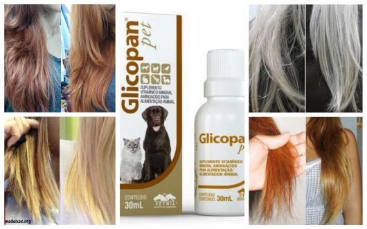 How to Use Glicopan Pet on Hair – Review and FULL Guide!