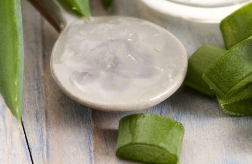 How to Use Aloe Vera in Hair – 7 Different and Effective Ways!